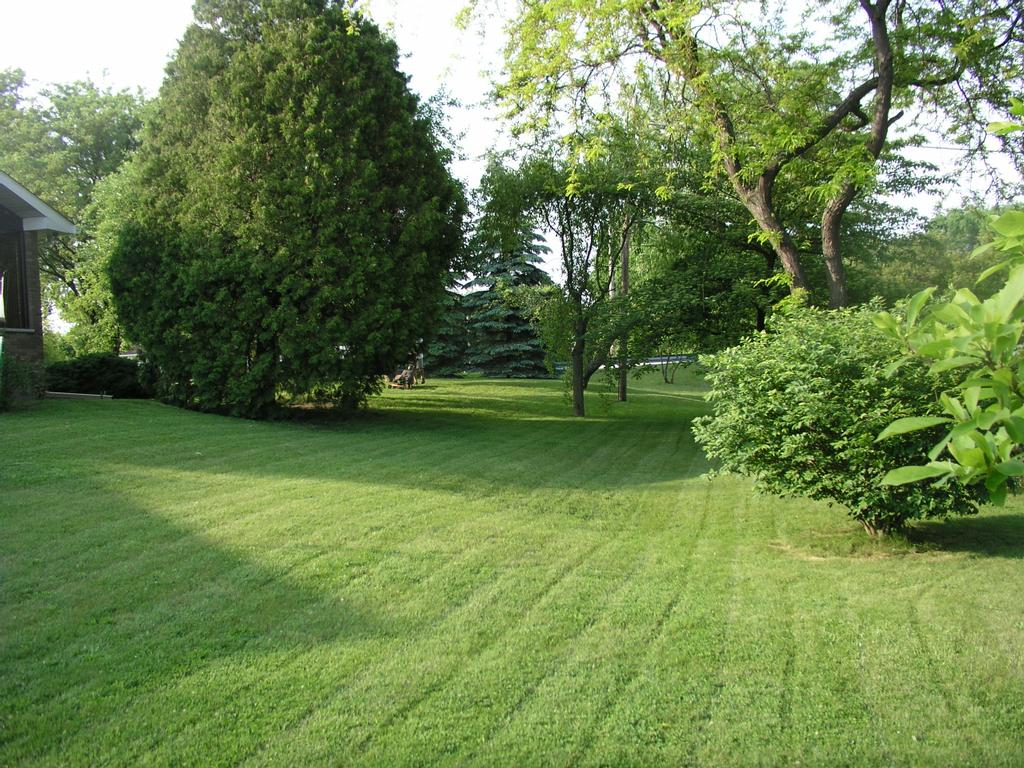 Backyard Lemonade - Inside Tailgating