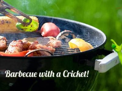 Cricket - Fire in the Hole! 1