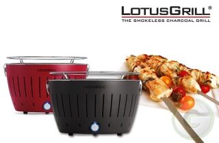 Lotus Grill - Where there is NO smoke....