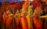 Autumn Sparkler