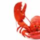 Lobster Roll 1