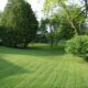 Backyard Lemonade