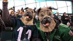 Friendly Super Bowl wager for craft beer companies 1