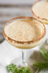 Toast holidays with eggnog martini 1