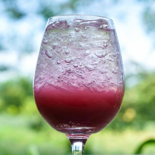A transfusion cocktail inside of a glass with the grape juice on the bottom and ginger beer on top