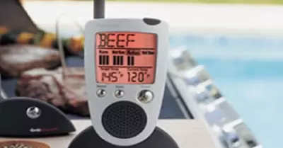 Grill Alert Talking Thermometer