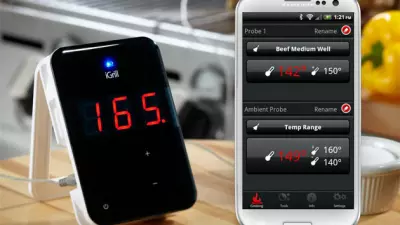 iGrill Grilling Device and App
