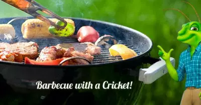 Cricket - Fire in the Hole! 1