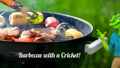 Cricket - Fire in the Hole! 1