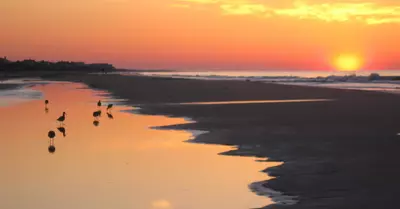 Chucktown Sunrise