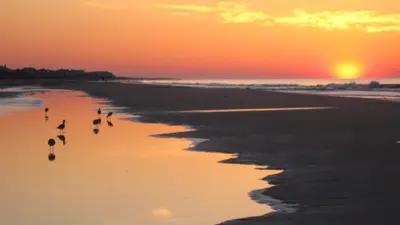 Chucktown Sunrise