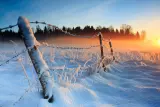 Cold Weather 2