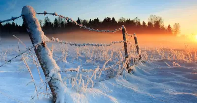 Cold Weather 2