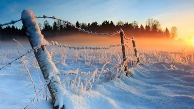 Cold Weather 2