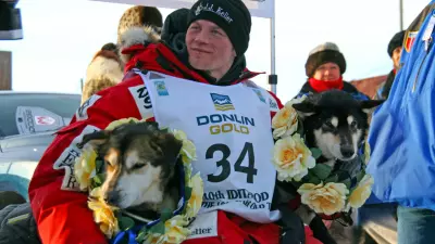 The Iditarod: An Excuse To Eat Reindeer