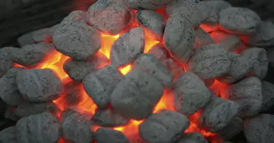 What Is The Best Charcoal