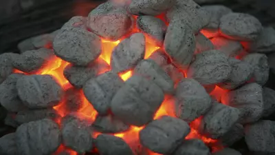 What Is The Best Charcoal