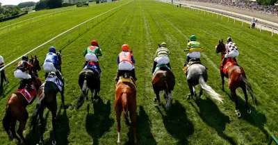 No Tailgating At The Horse Track