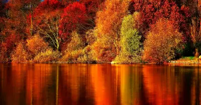 Autumn Sparkler