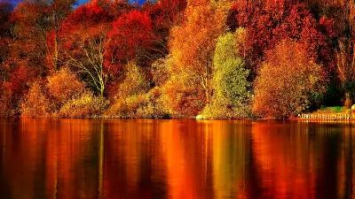 Autumn Sparkler