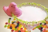 Easter Tailgating