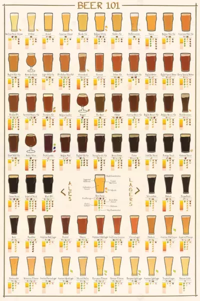 Beer Tasting 101: 5 Top Things to Consider While Evaluating Beer 3 BEER 101: 5 THINGS TO CONSIDER WHILE EVALUATING BEER 12
