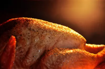 Twelve Grilled Turkey Recipes 2 tailgating grill - grilled turkey recipes