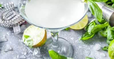 Our garden point of view martini in a martini glass with basil all around it